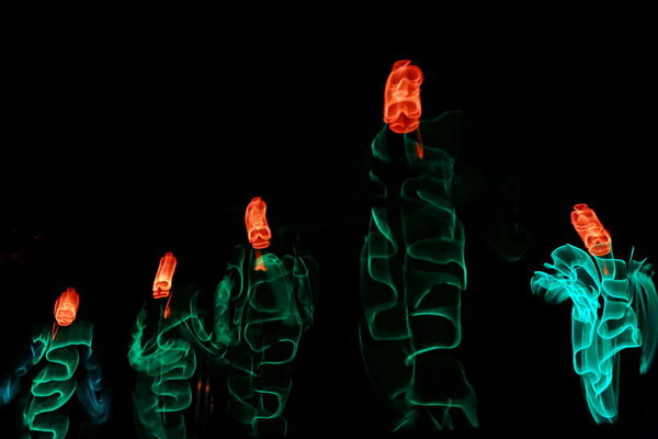 Gala_2013   160.jpg
